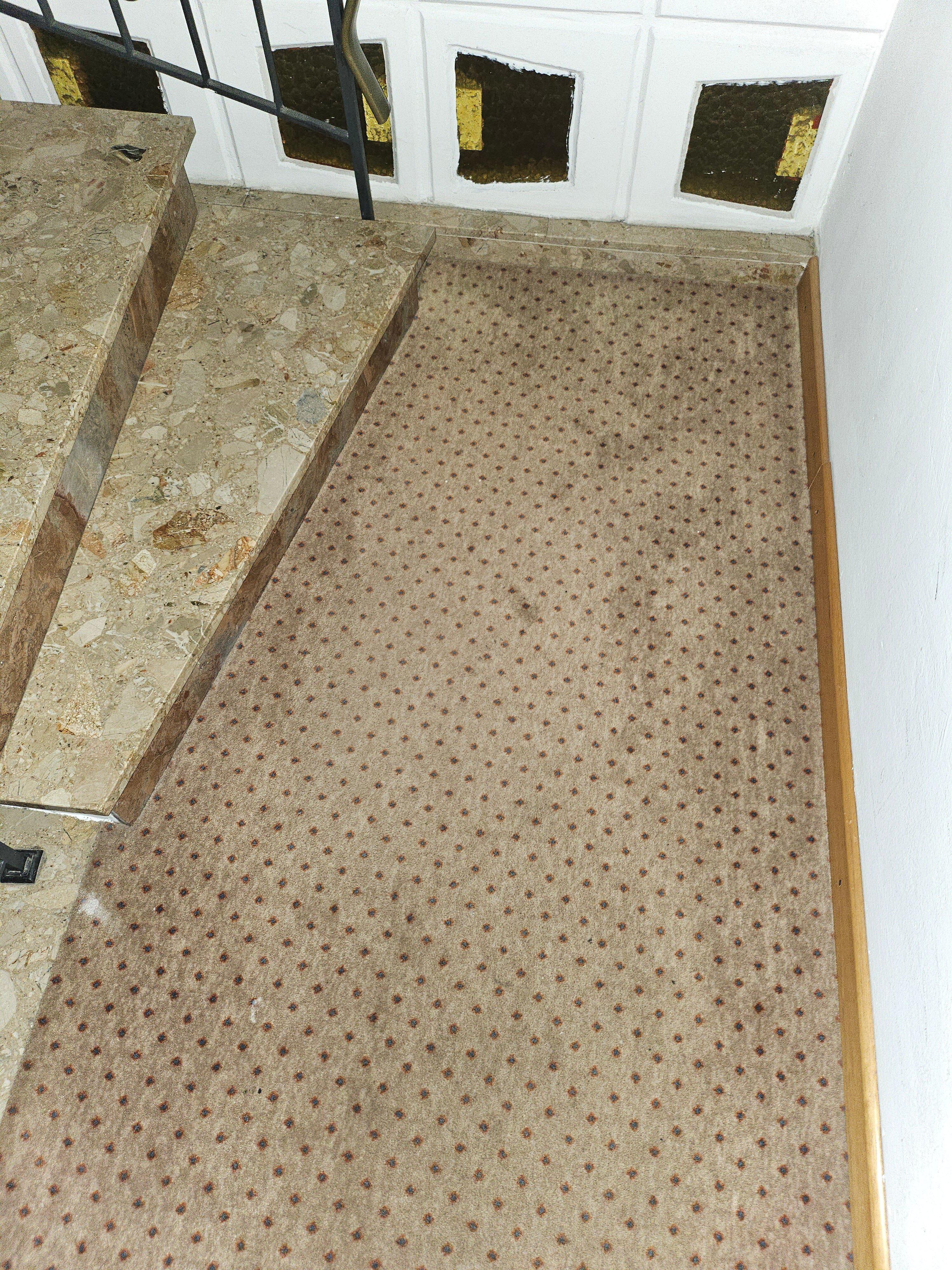 Mike‘s Mosel Lodge