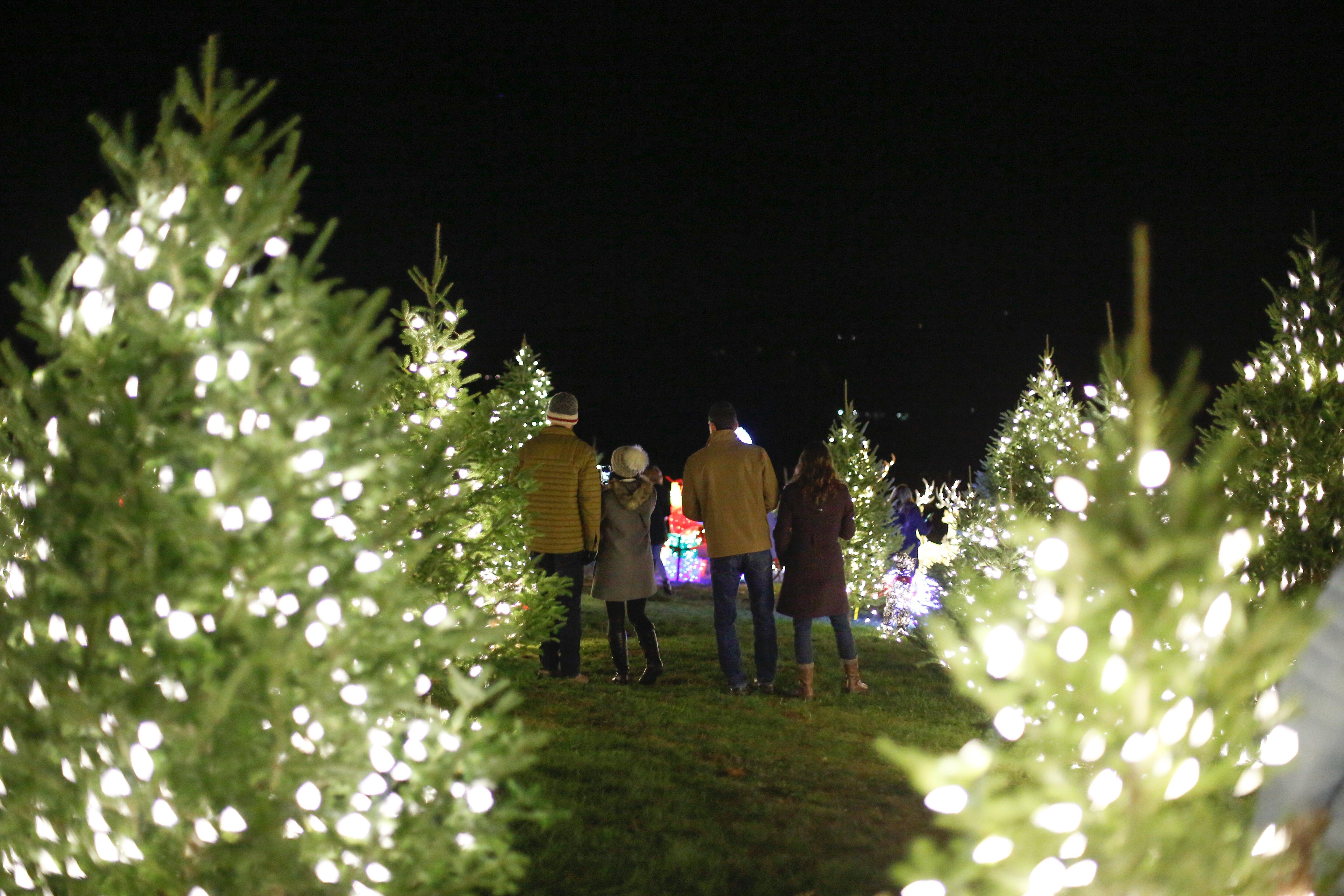 Benjamin Bridge Vineyards