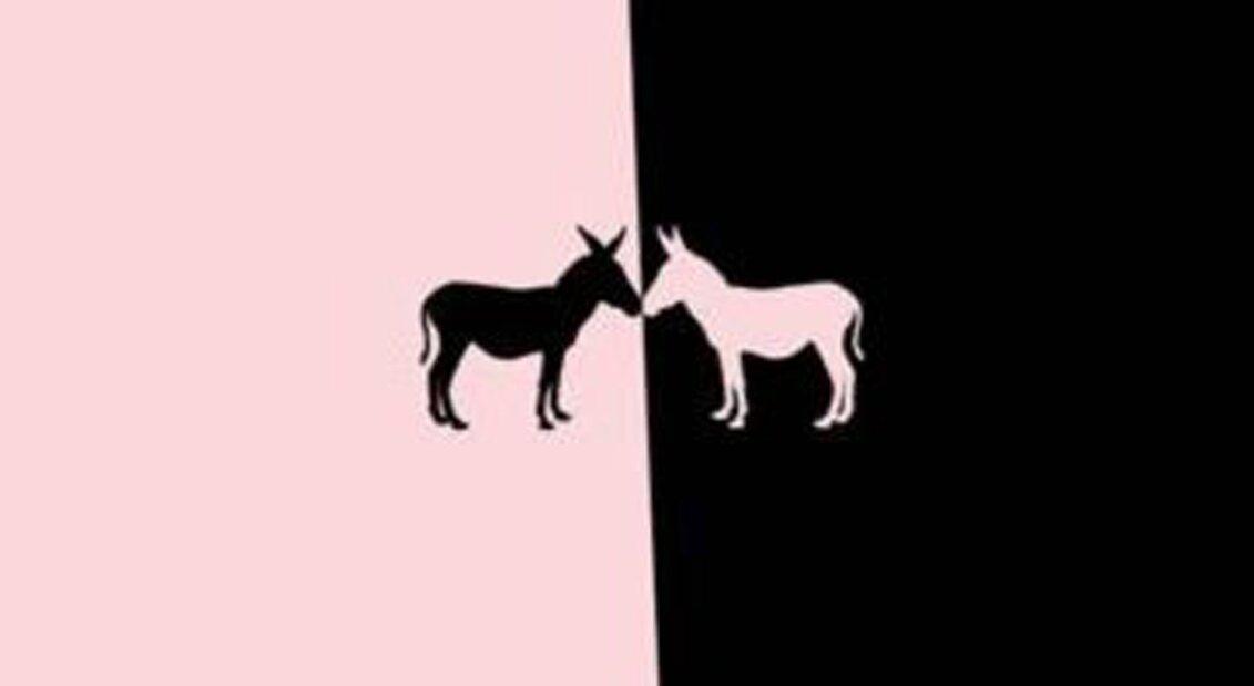 Asino Bar & Ristorante