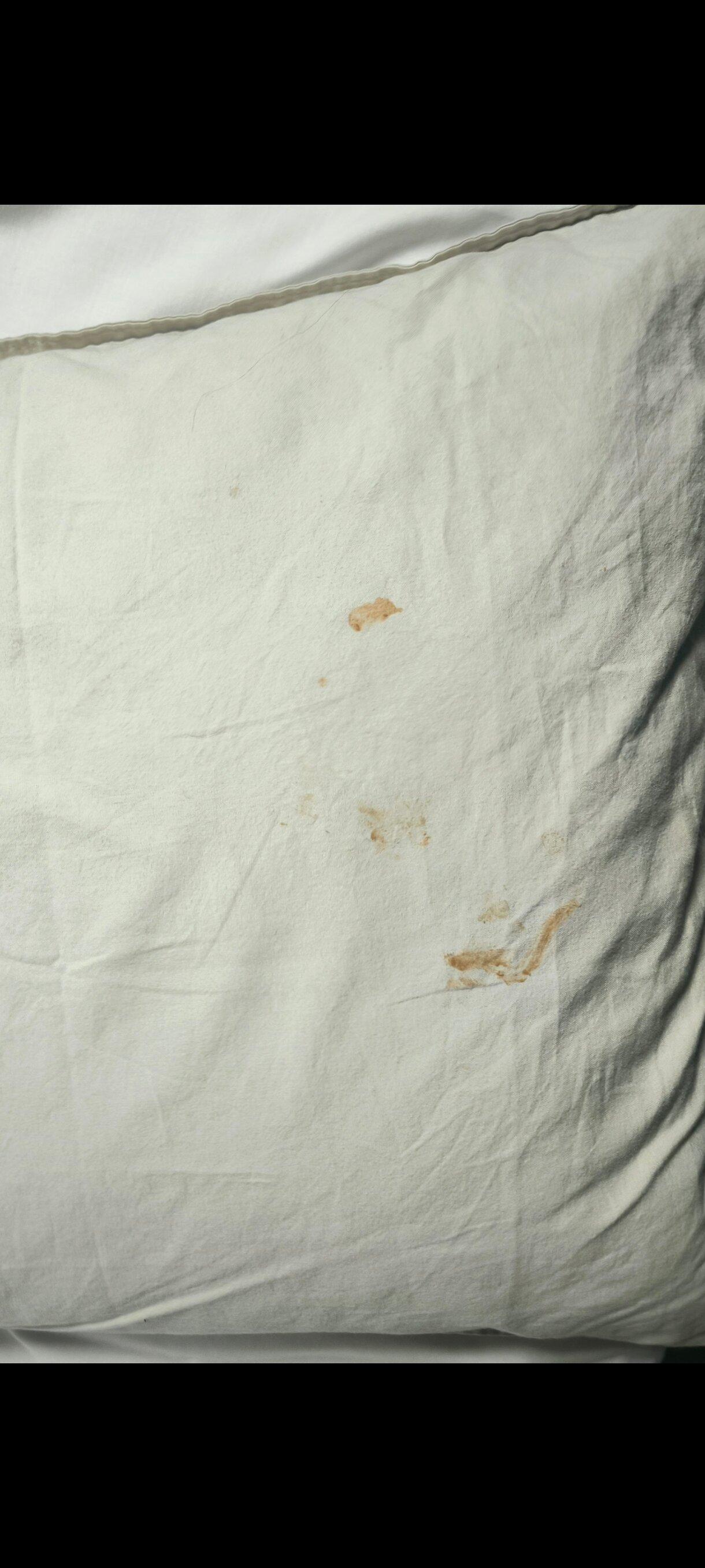 Palacete De La Almudayna