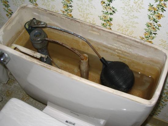 Photo by MelissaL4269