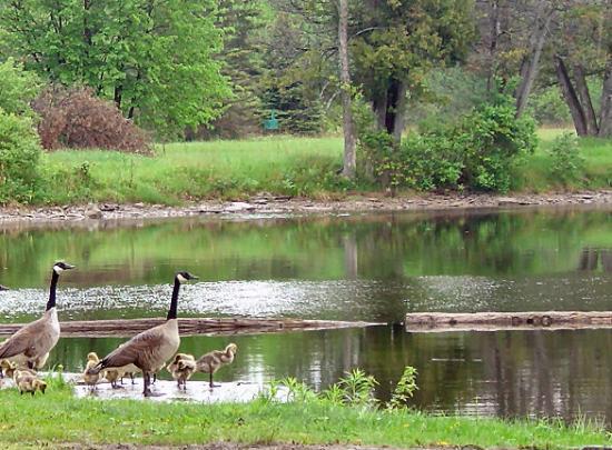 Hope Mill Conservation Area