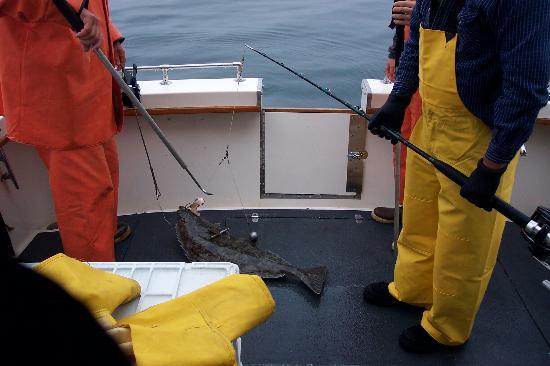 Del’s Bunk and Chow