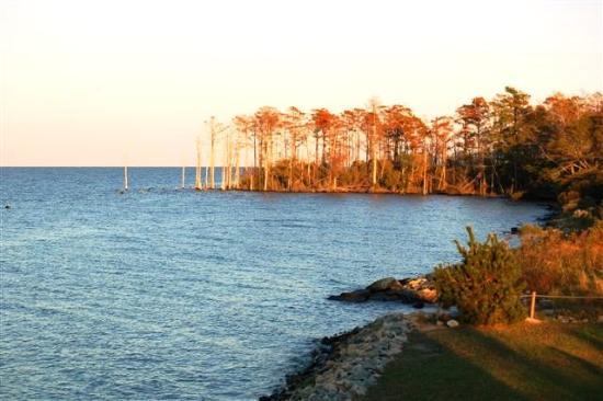 Photo by country_girl_usa