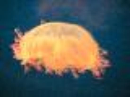 photo of Leslovesfood