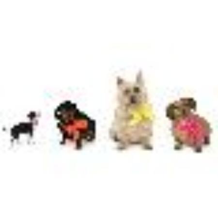 photo of MistietheDog