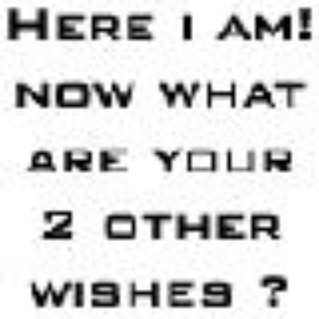 photo of Dutch_Knight