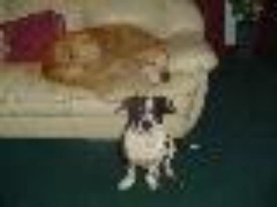 photo of lizziequinn1