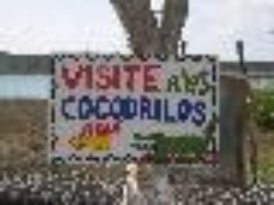 Photo of gazooby