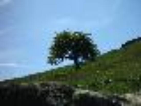 photo of mda_yorkshire