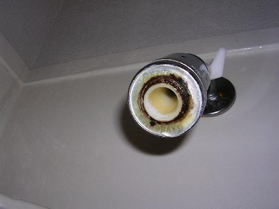 Photo by TravelersTwoAnywhere