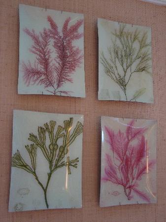 Photo by bookwormteacher