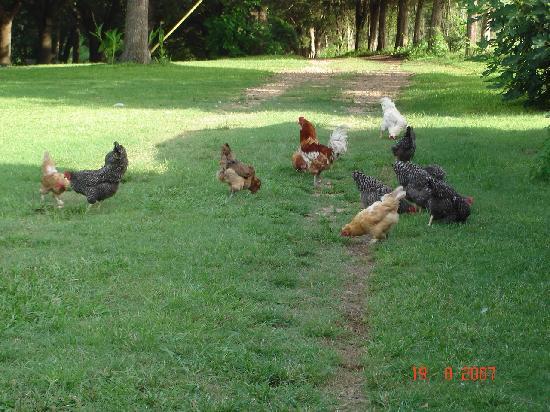 Photo by texaswinesnob