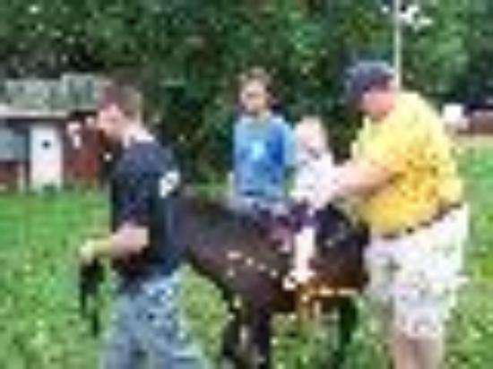 Photo of 4girls2boys