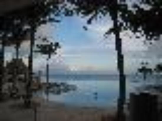 photo of Hotrod_Hammer