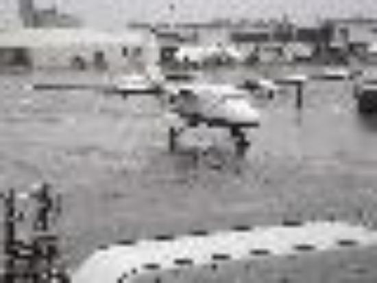 photo of yandinazetland