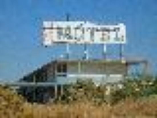 photo of Bingenheimer