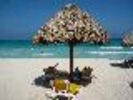 photo of ChillyWillyPa