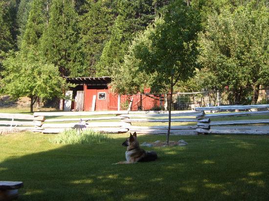 Photo by mamaredConcord_CA