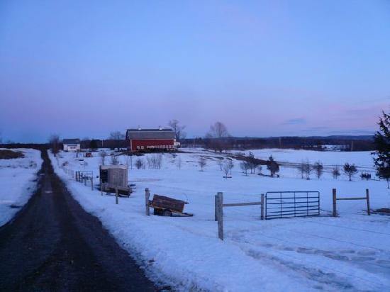 Falkenbury Farm Guest House