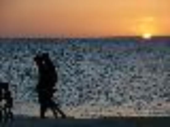 photo of Lifetraveler1