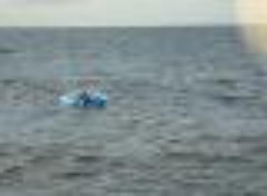 Photo of Tiffiemonkee