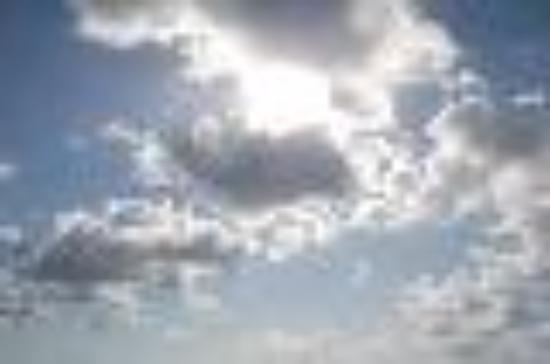 Photo of galbosm