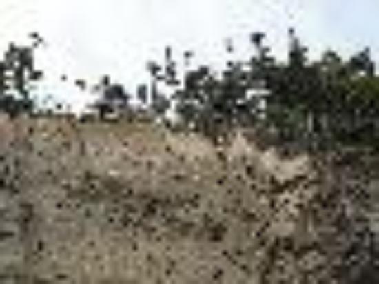 photo of travellingman1956