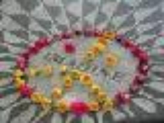 Photo of rockandroller1