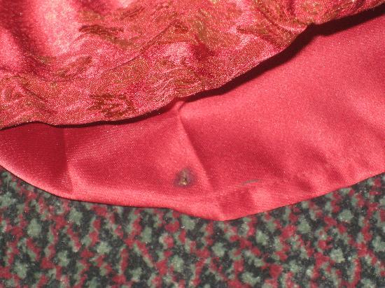 Photo by nikkiblouisiana