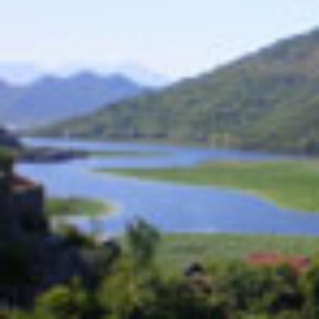 Photo of 782jeannej