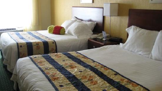 Photo by guinevere_J