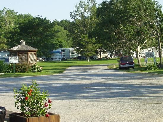 Photo by CentereachMom