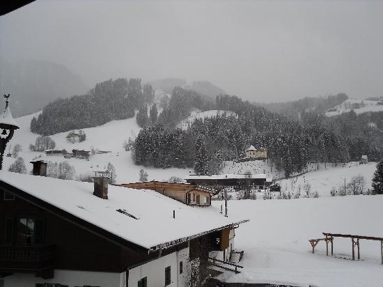 Pension Muhlbergerhof