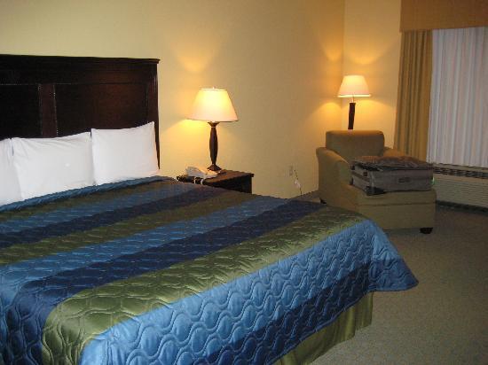 Photo by SeeingWhatsNext