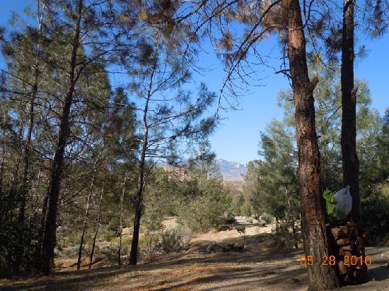 Hungry Gulch Campground