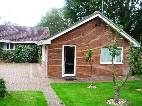 Photo by English_Rosee