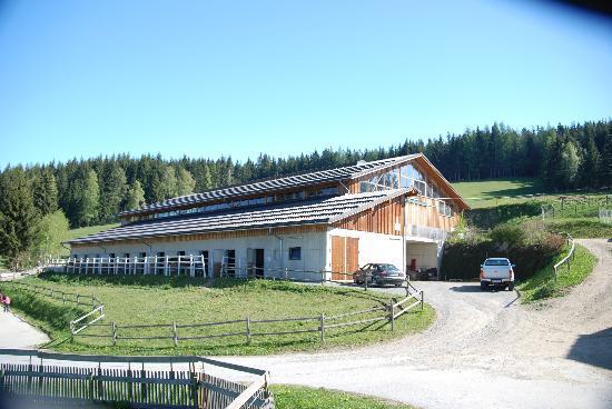 Der Ponyhof Familienhotel