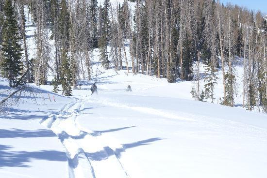 Evergreen Condominiums