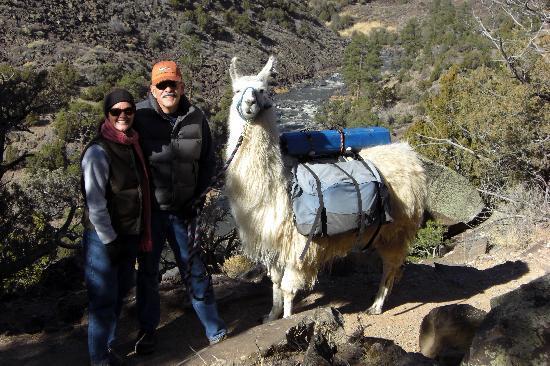 Wild Earth Llama Adventures