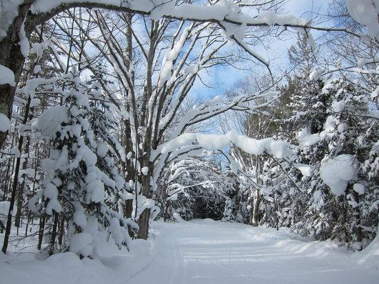 Swedetown Ski Trails