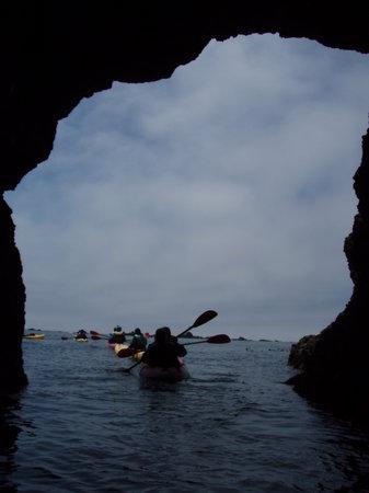 Kayak Mendocino