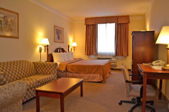 Econo Lodge Inn & Suites
