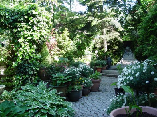 Photo by xxuweberlin