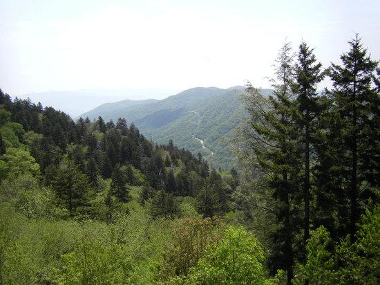 Mountain Memory Tours