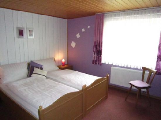 Adelshofen Inn - Bed & Breakfast