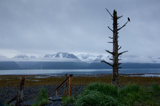 A Cottage on the Bay
