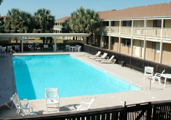 Photo by kurbappealllchouston