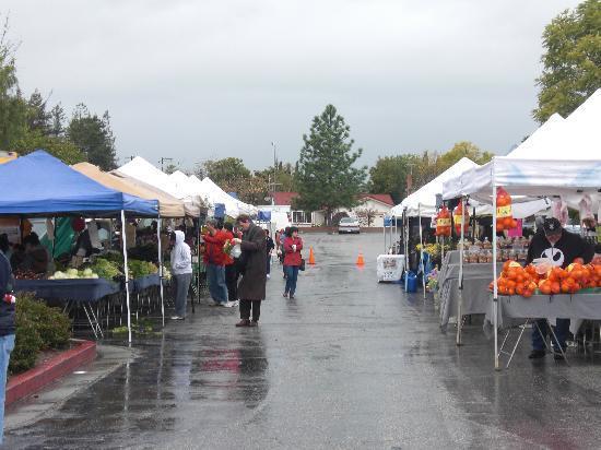 Berressa Farmers Market