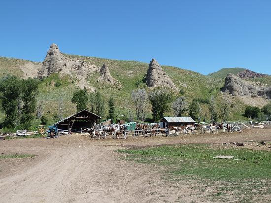 Mill Iron Ranch